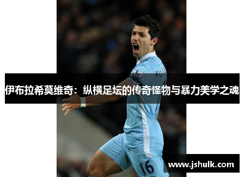 伊布拉希莫维奇：纵横足坛的传奇怪物与暴力美学之魂
